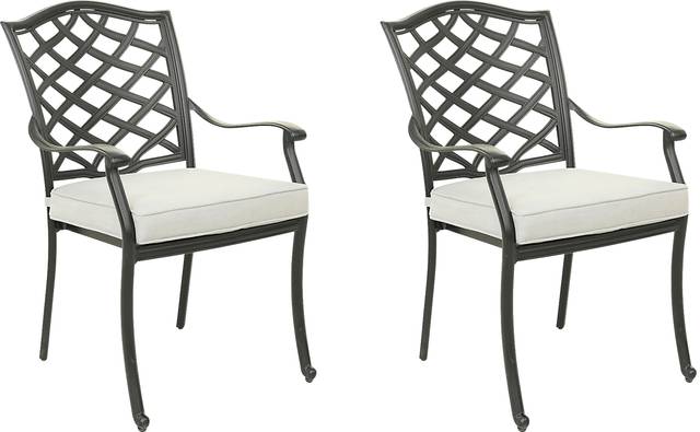 Outdoor Cyrielle I Gray Side Chair, Set of 2 - Thumbnail - Image 1