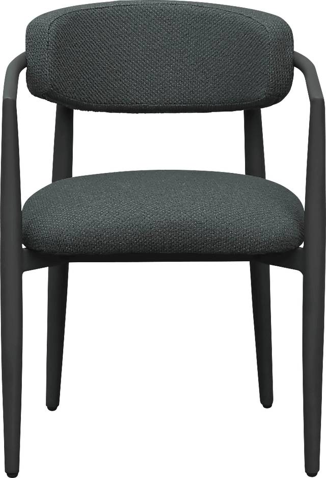 Outdoor Fryburg Black Arm Chair - Thumbnail - Image 2