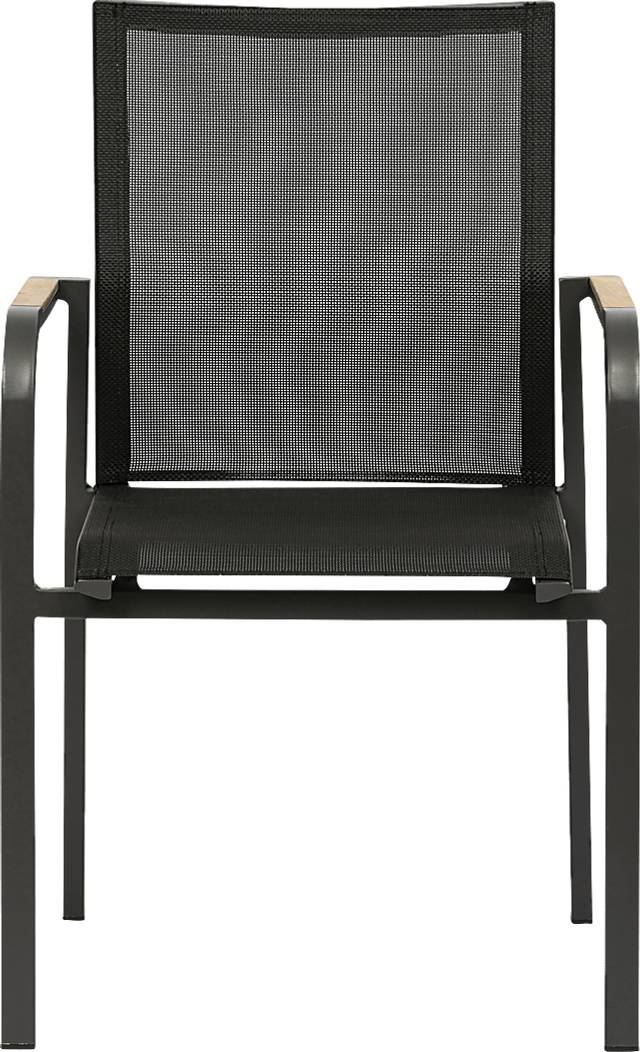 Outdoor Hollingshed Black Arm Chair, Set of 2 - Thumbnail - Image 2