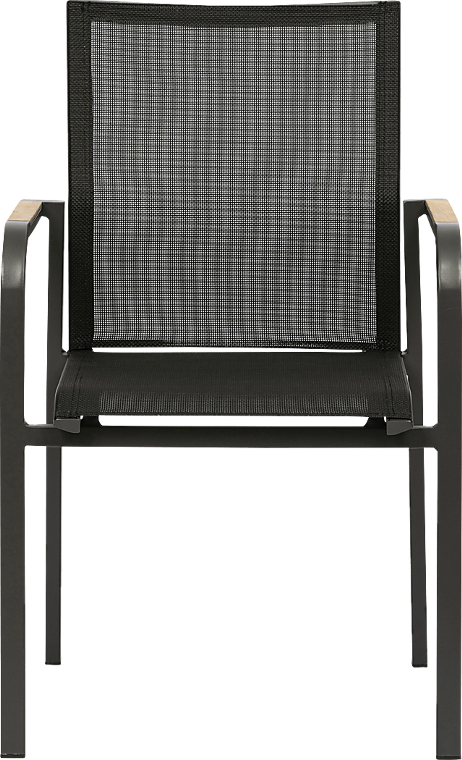 Outdoor Hollingshed Black Arm Chair, Set of 2 - Image 2