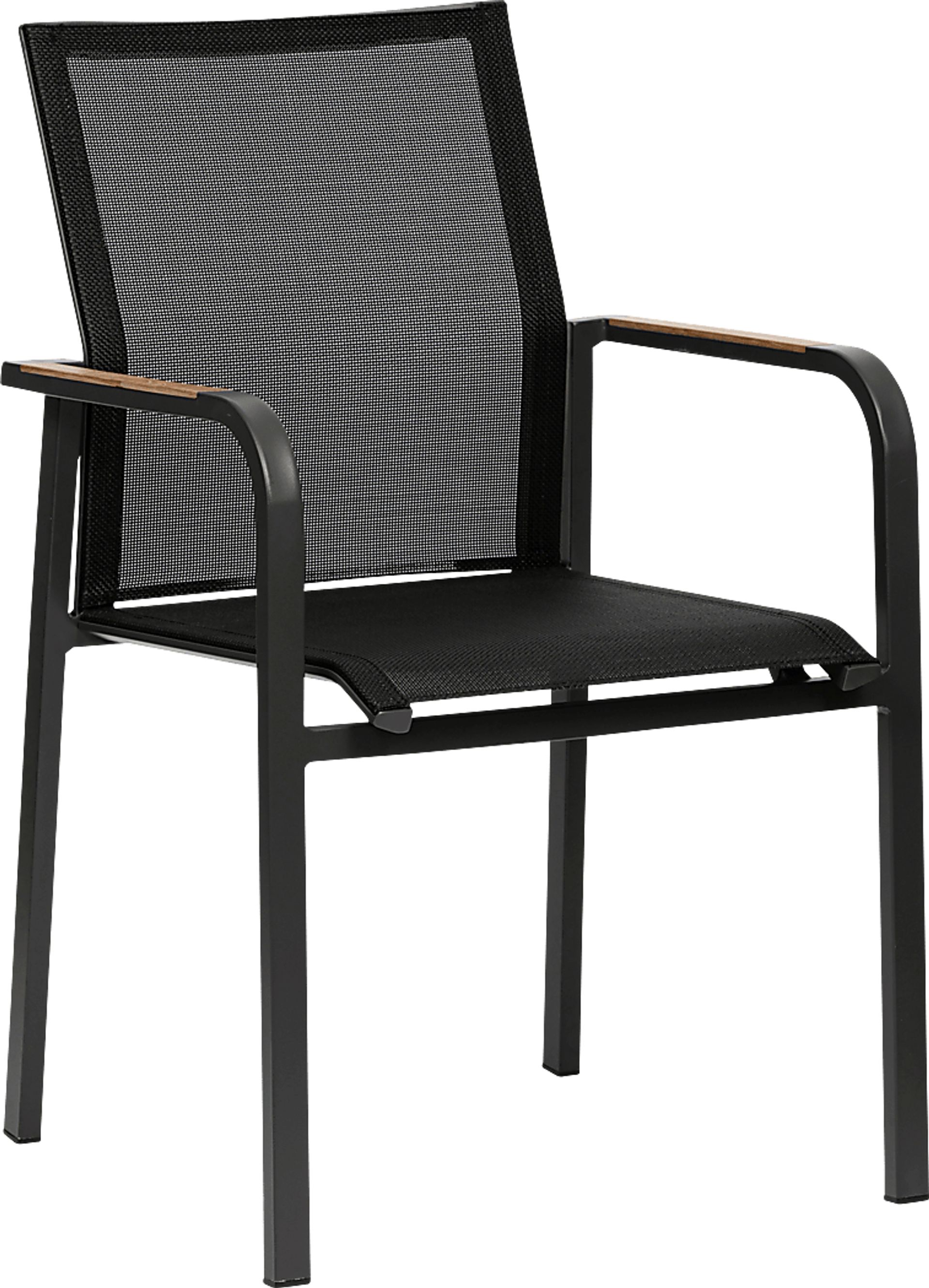 Outdoor Hollingshed Black Arm Chair, Set of 2 - Image 3