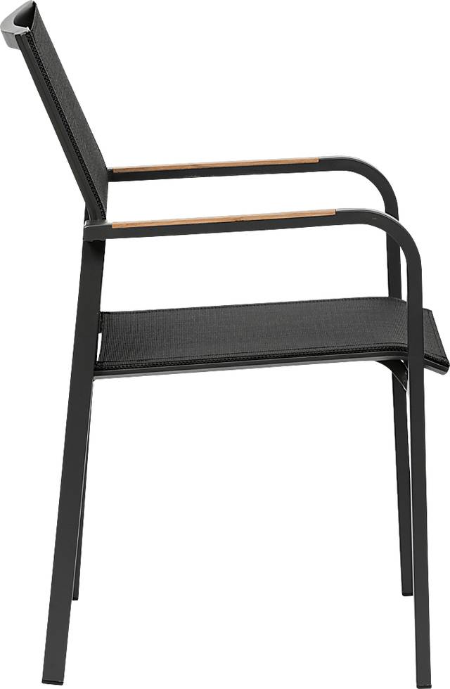 Outdoor Hollingshed Black Arm Chair, Set of 2 - Thumbnail - Image 4