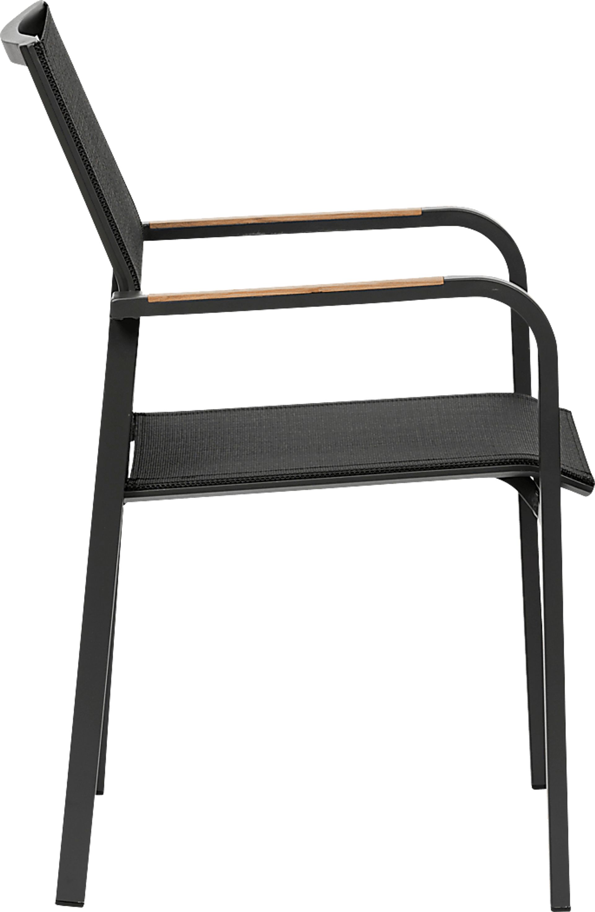 Outdoor Hollingshed Black Arm Chair, Set of 2 - Image 4