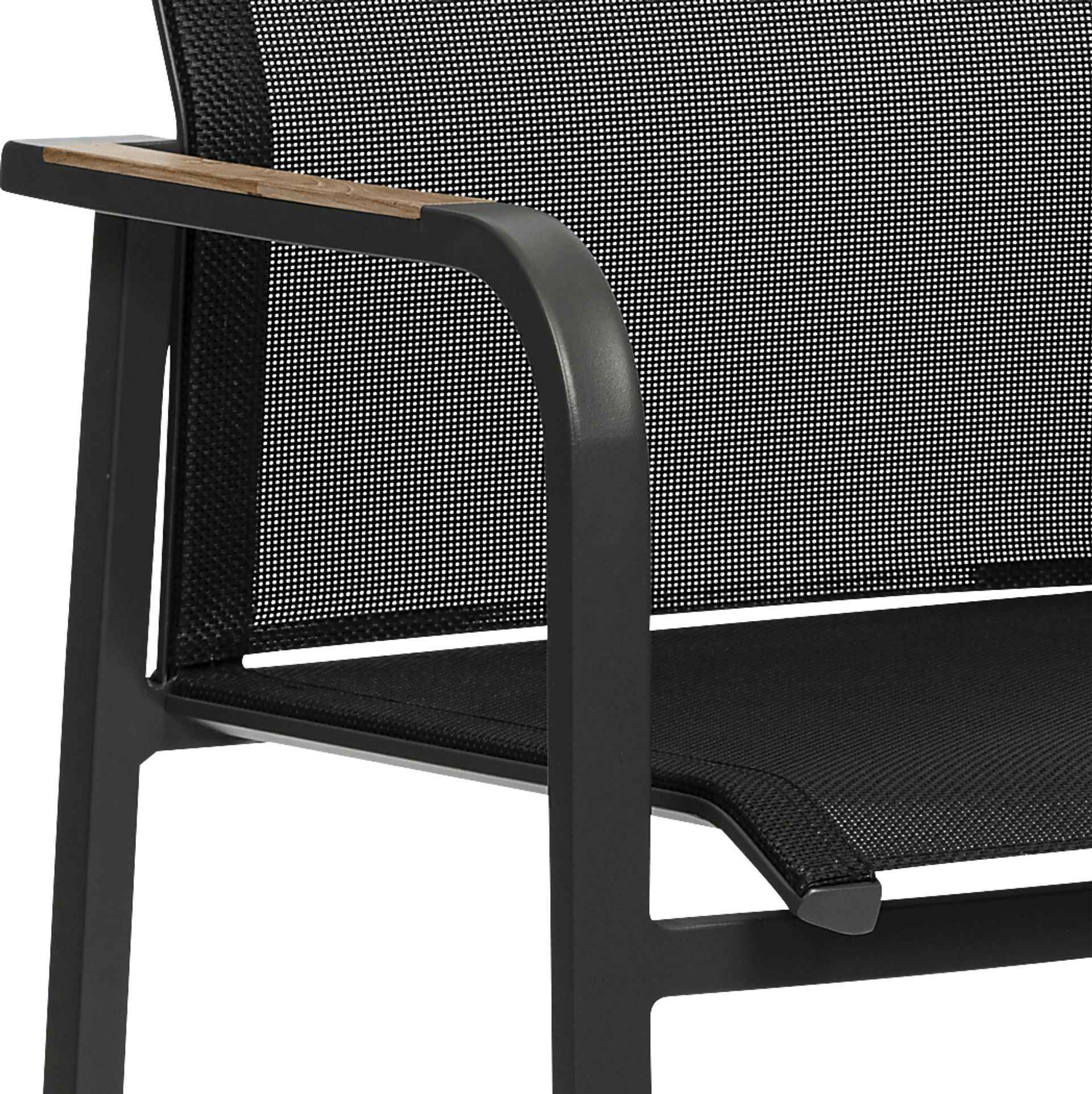 Outdoor Hollingshed Black Arm Chair, Set of 2 - Image 6