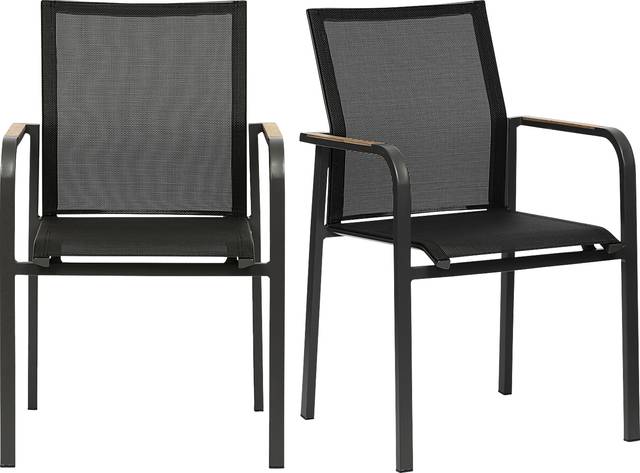 Outdoor Hollingshed Black Arm Chair, Set of 2 - Thumbnail - Image 1