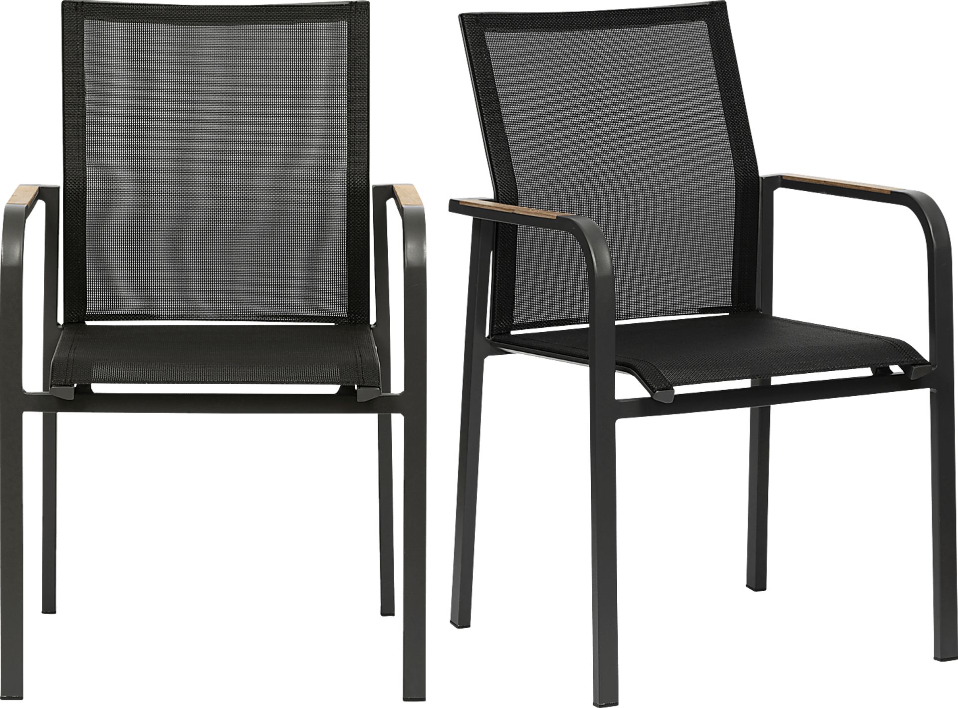 Outdoor Hollingshed Black Arm Chair, Set of 2 - Image 1