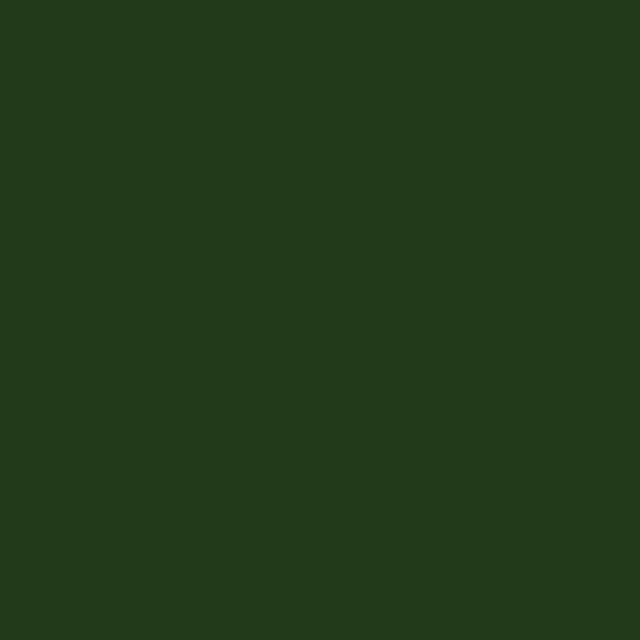 Outdoor Ischia Green Dining Chair - Thumbnail - Image 10