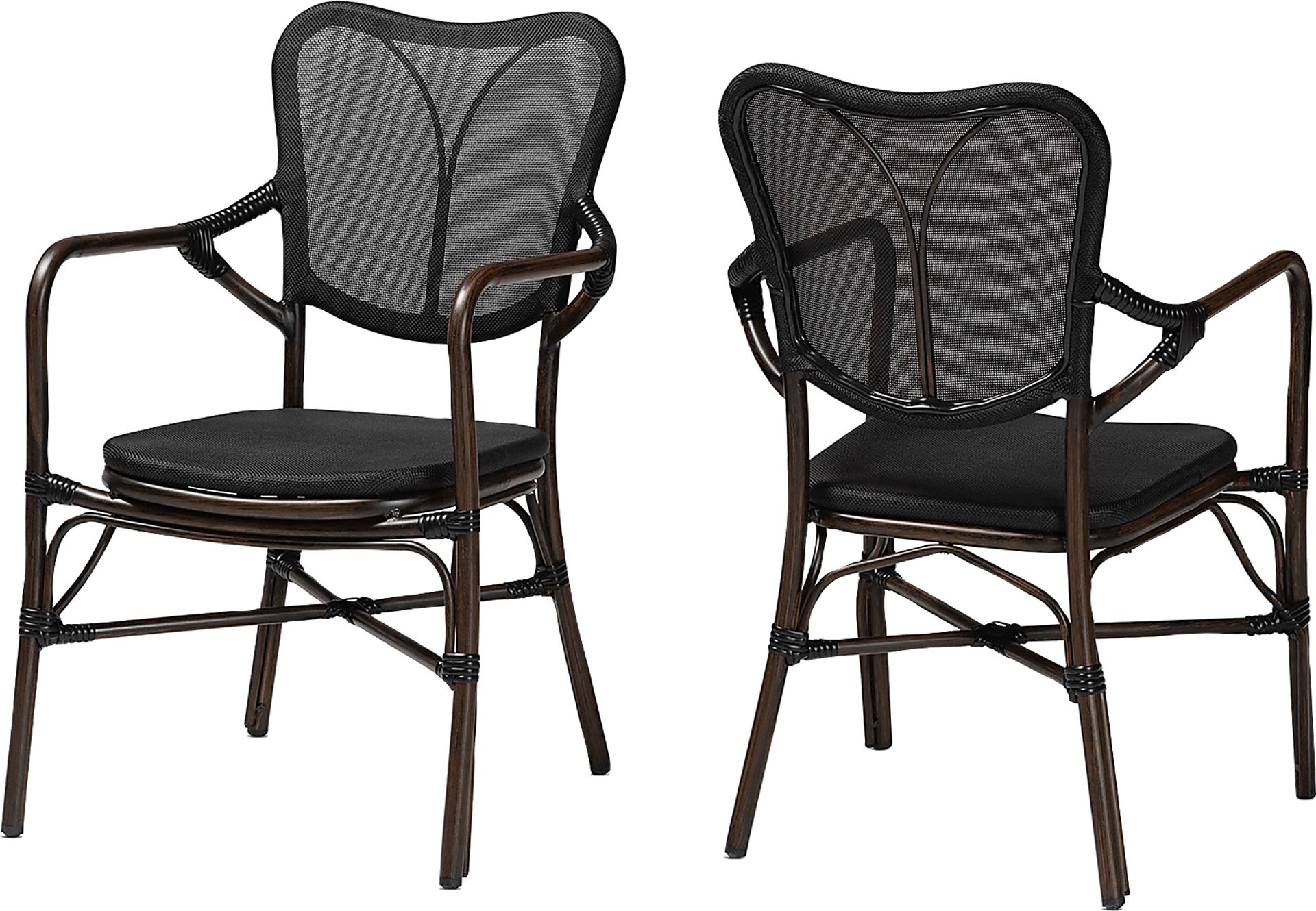 Outdoor Larenel Black Side Chair Set of 2 - Image 1