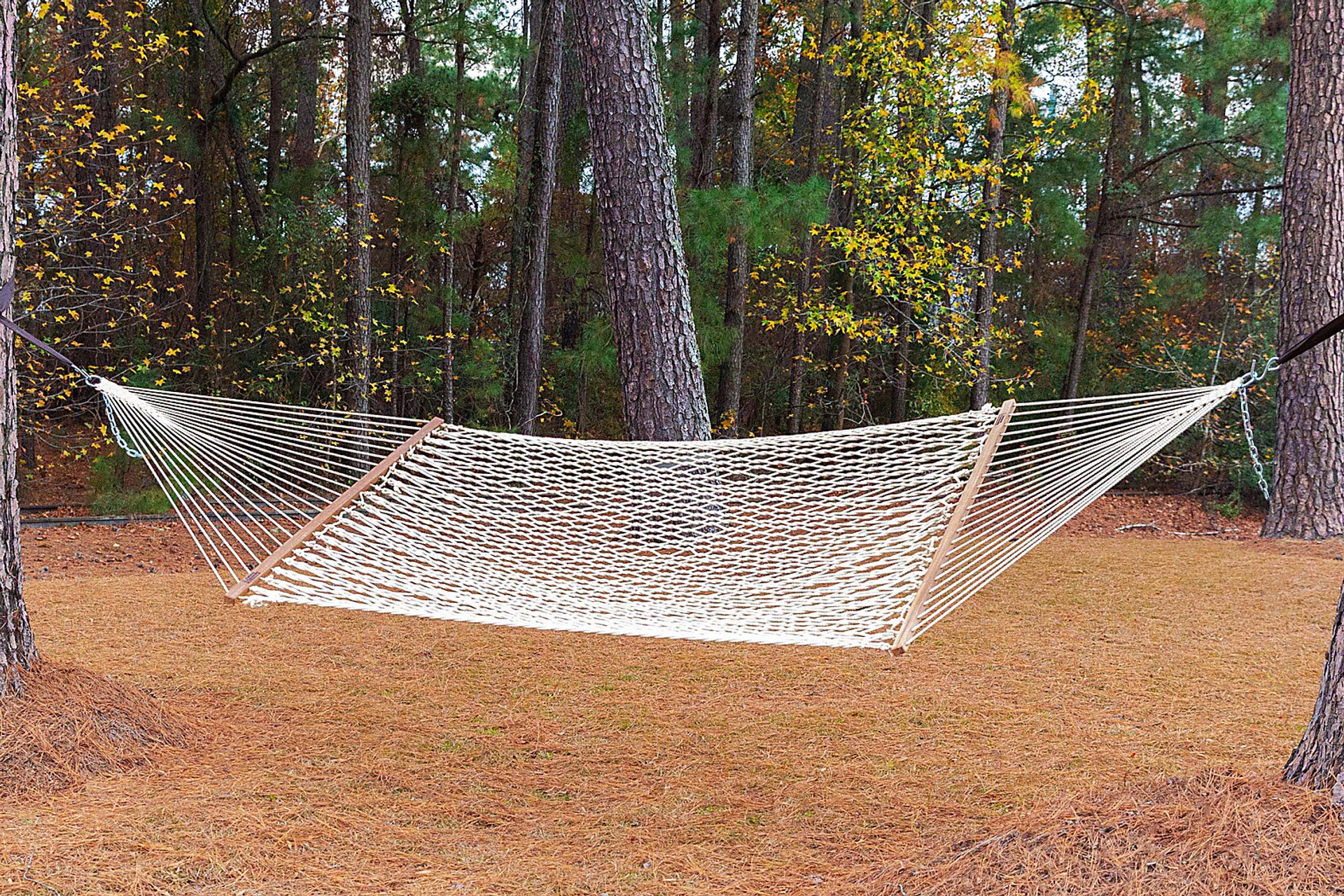 Outdoor Pandrosus Natural Hammock - Image 2