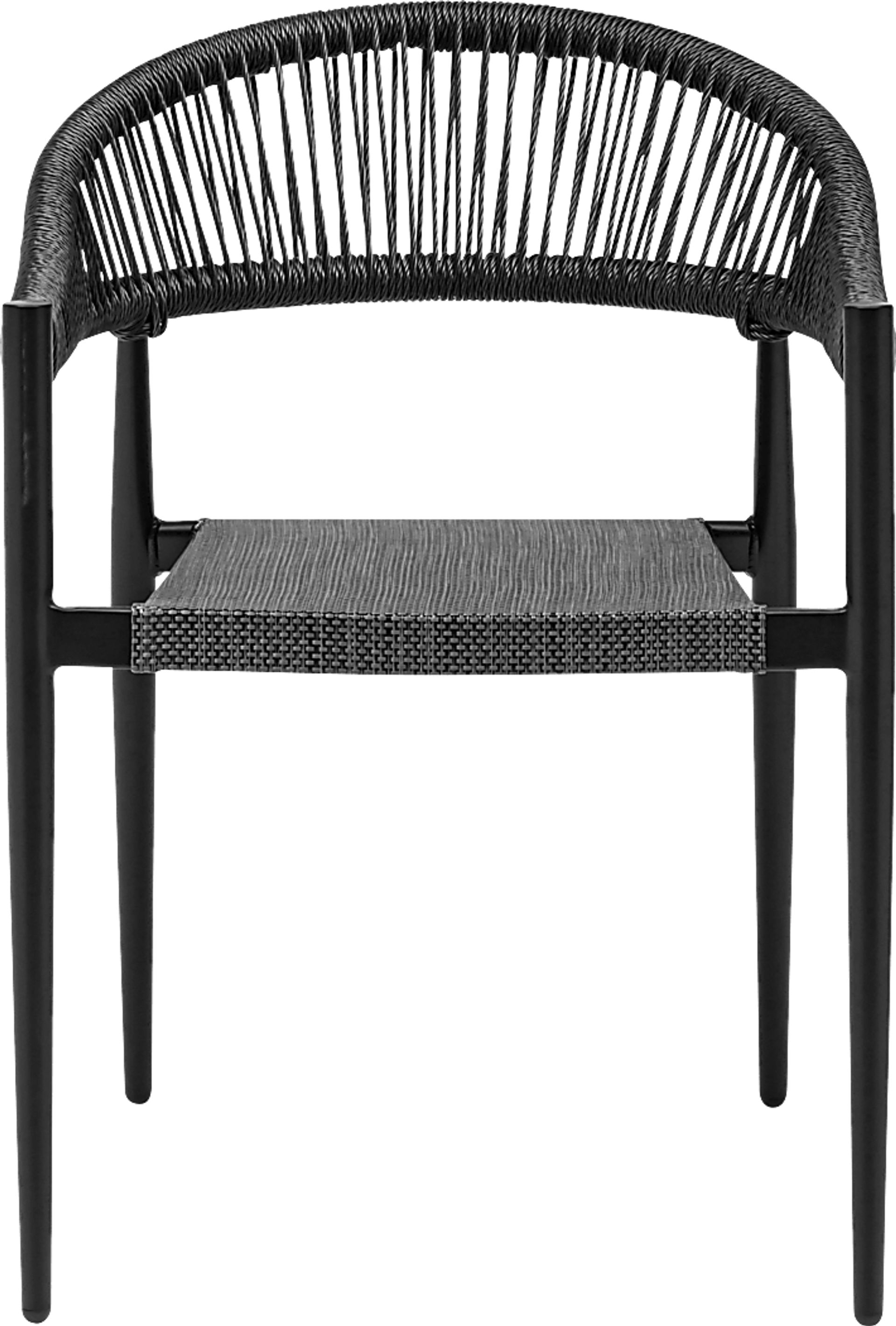Outdoor Quadpaw Black Arm Chair, Set of 2 - Image 2