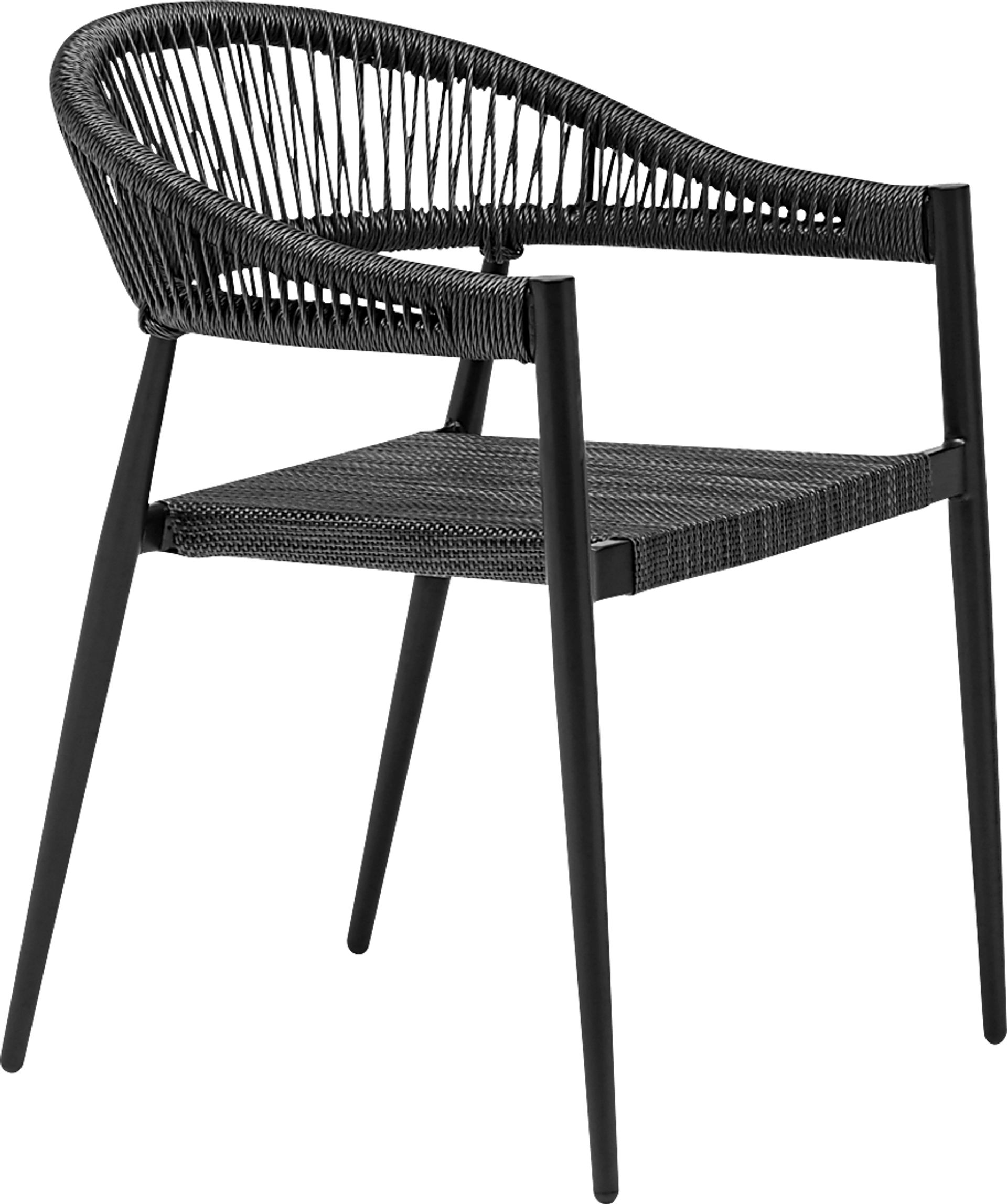 Outdoor Quadpaw Black Arm Chair, Set of 2 - Image 3