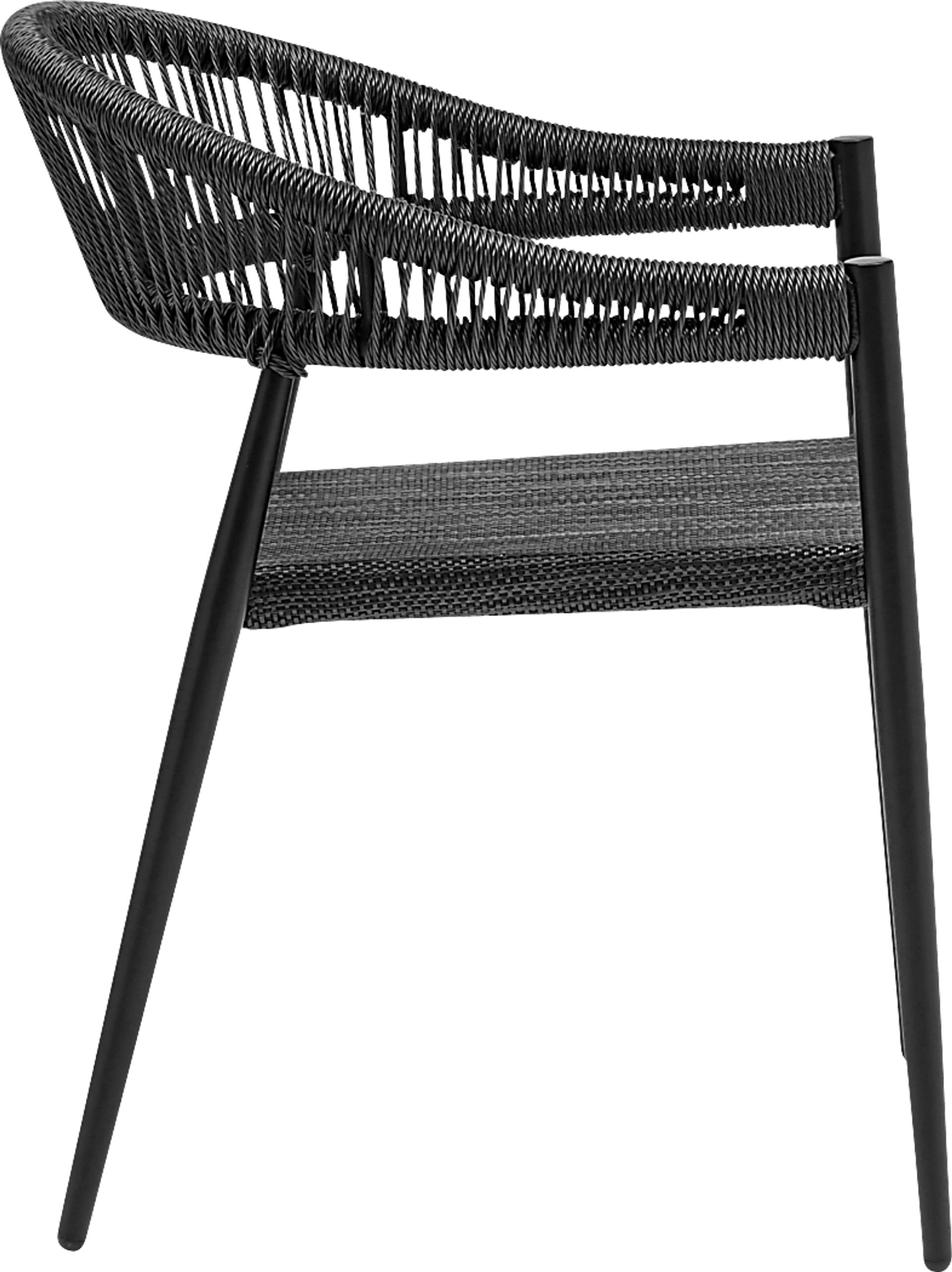 Outdoor Quadpaw Black Arm Chair, Set of 2 - Image 4