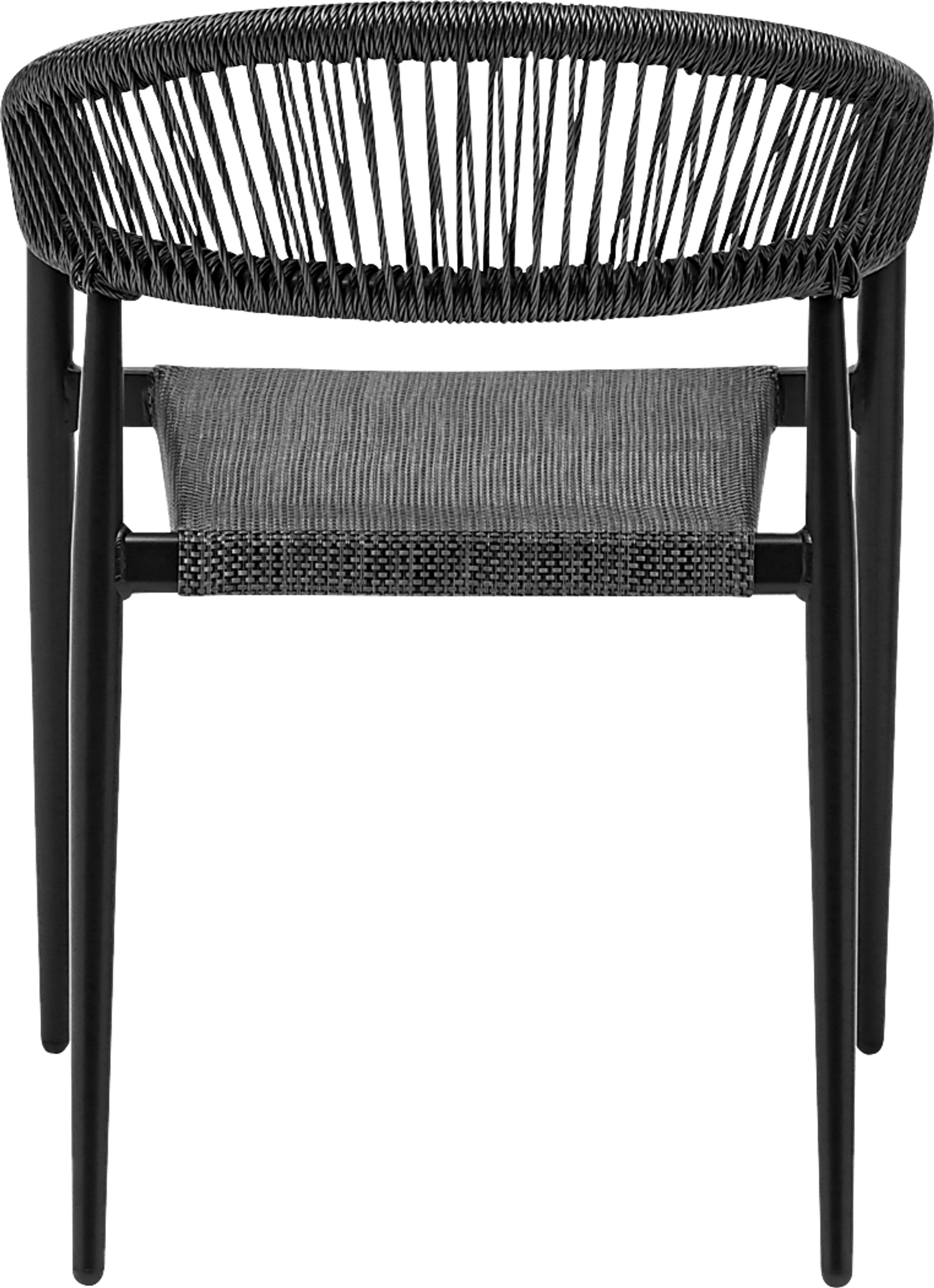 Outdoor Quadpaw Black Arm Chair, Set of 2 - Image 6