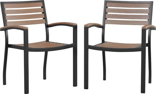 Outdoor Renoldor Brown Dining Chair, Set of 2 - Thumbnail - Image 1