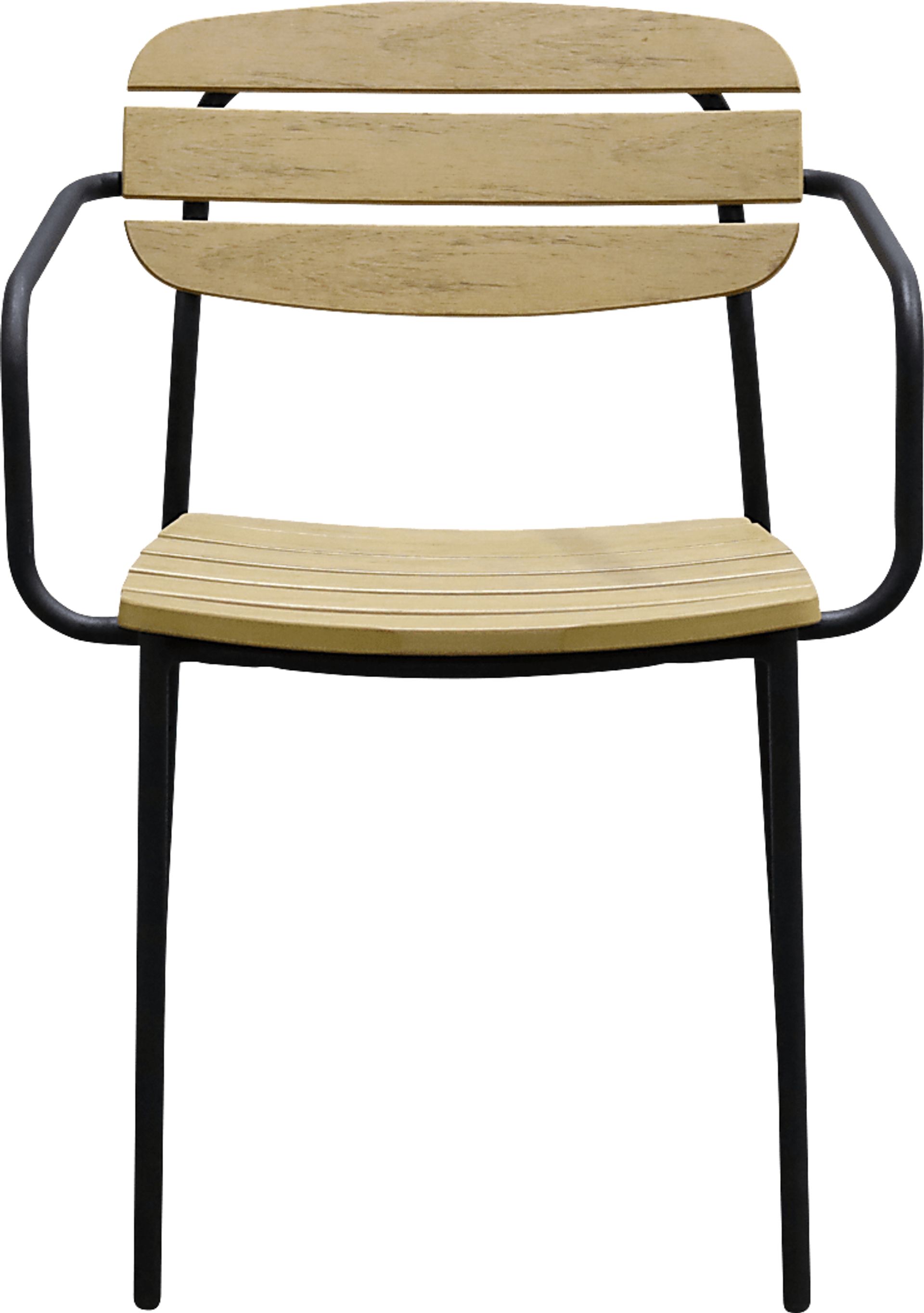 Outdoor Rufiny Brown Arm Chair, Set of 2 - Image 2