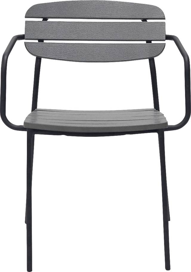 Outdoor Rufiny Dark Gray Arm Chair, Set of 2 - Thumbnail - Image 2