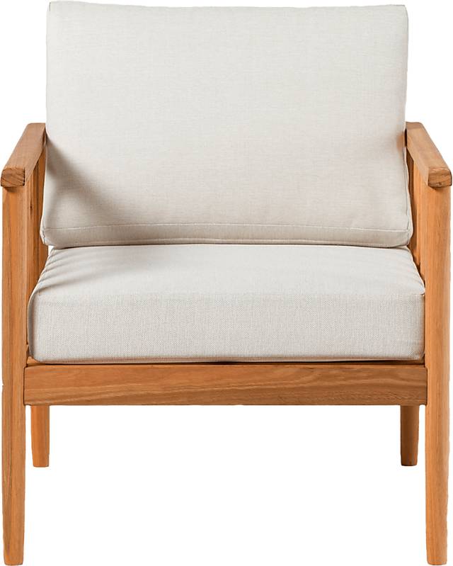 Outdoor Shellrich Coast Natural Accent Chair - Thumbnail - Image 4