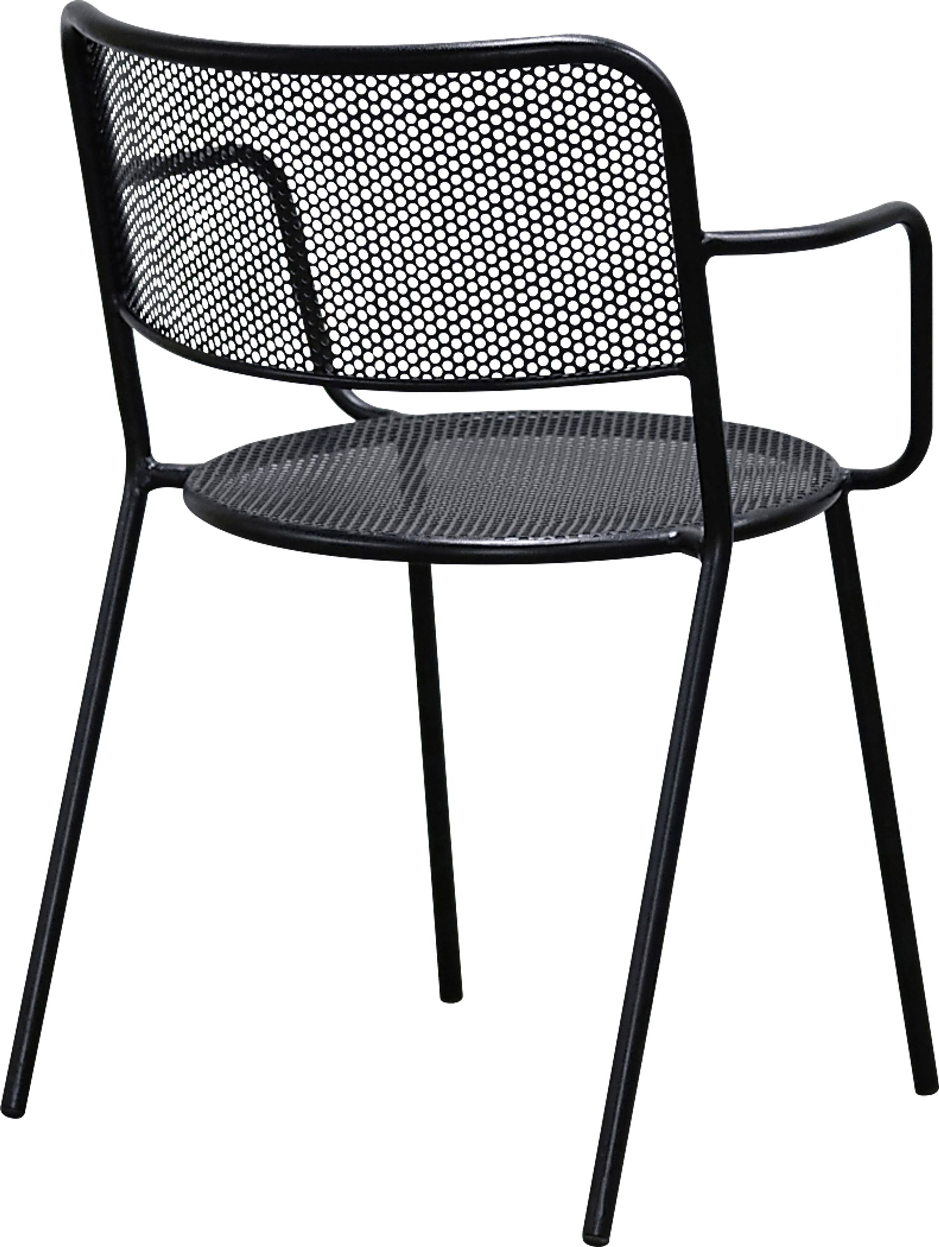 Outdoor Sherwoody Black Arm Chair, Set of 2 - Image 5