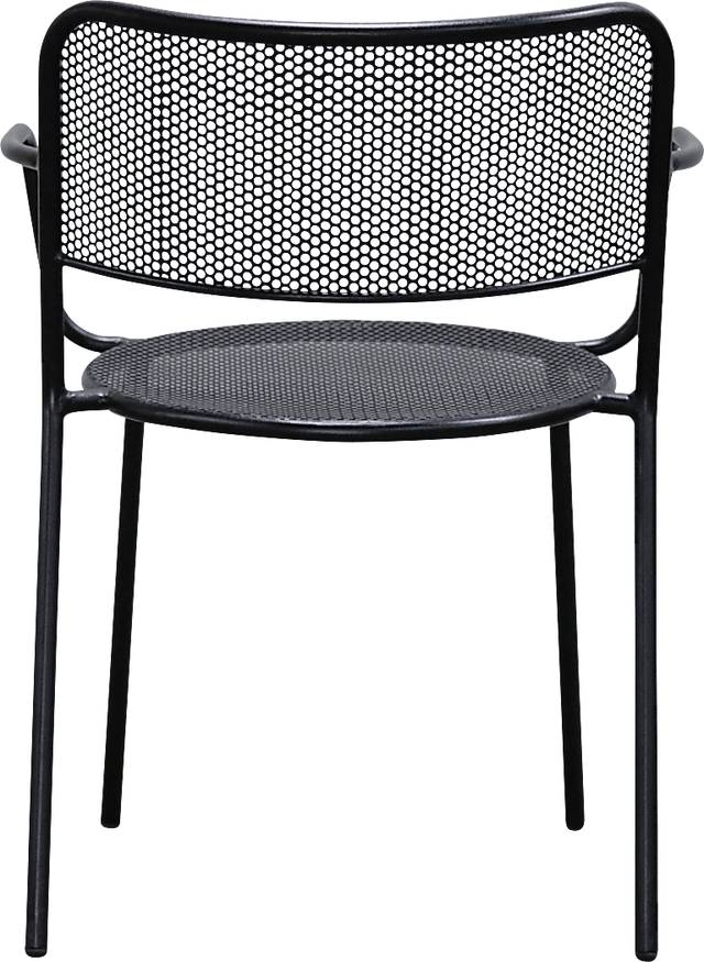 Outdoor Sherwoody Black Arm Chair, Set of 2 - Thumbnail - Image 6