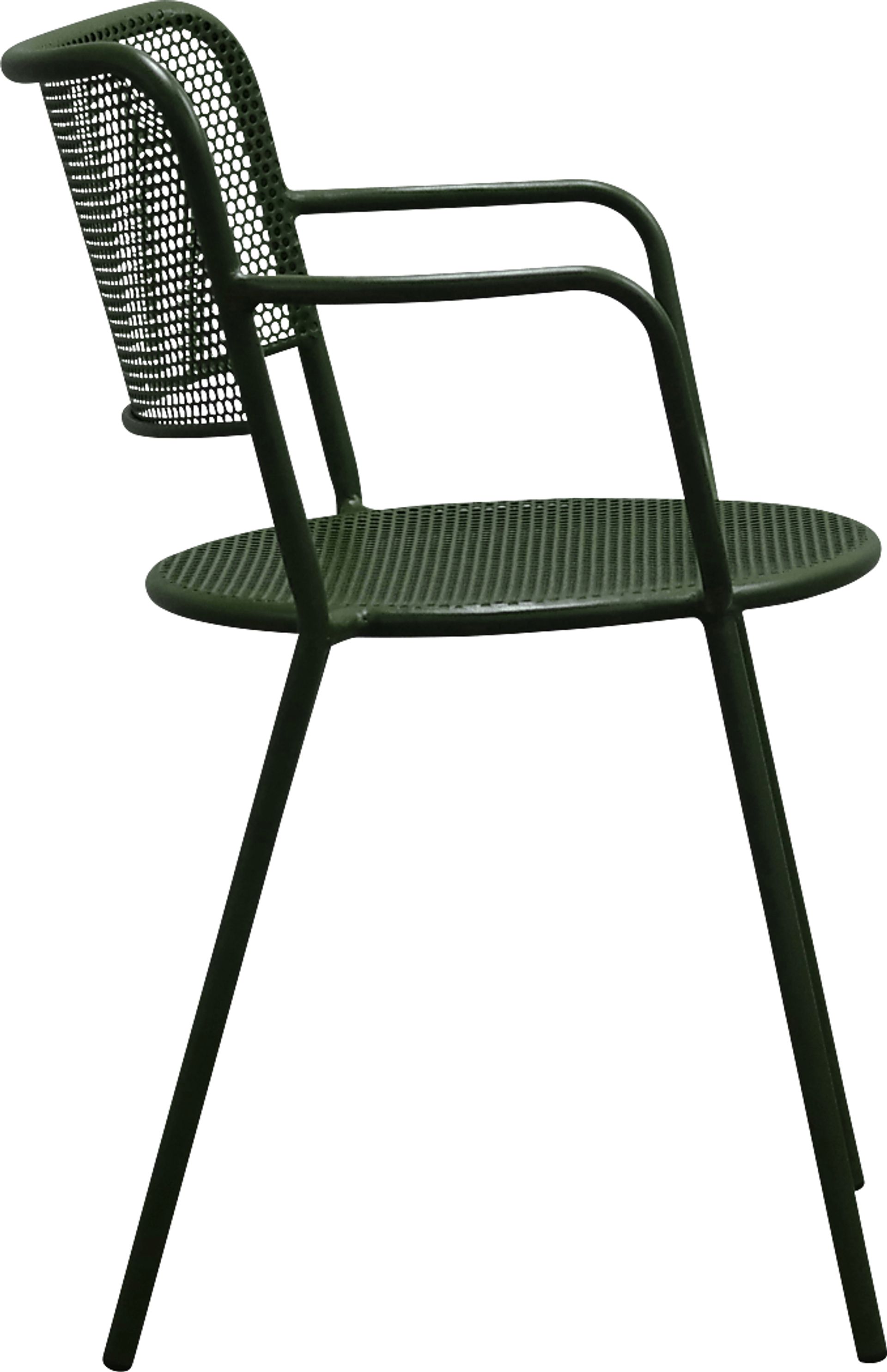 Outdoor Sherwoody Green Arm Chair, Set of 2 - Image 5