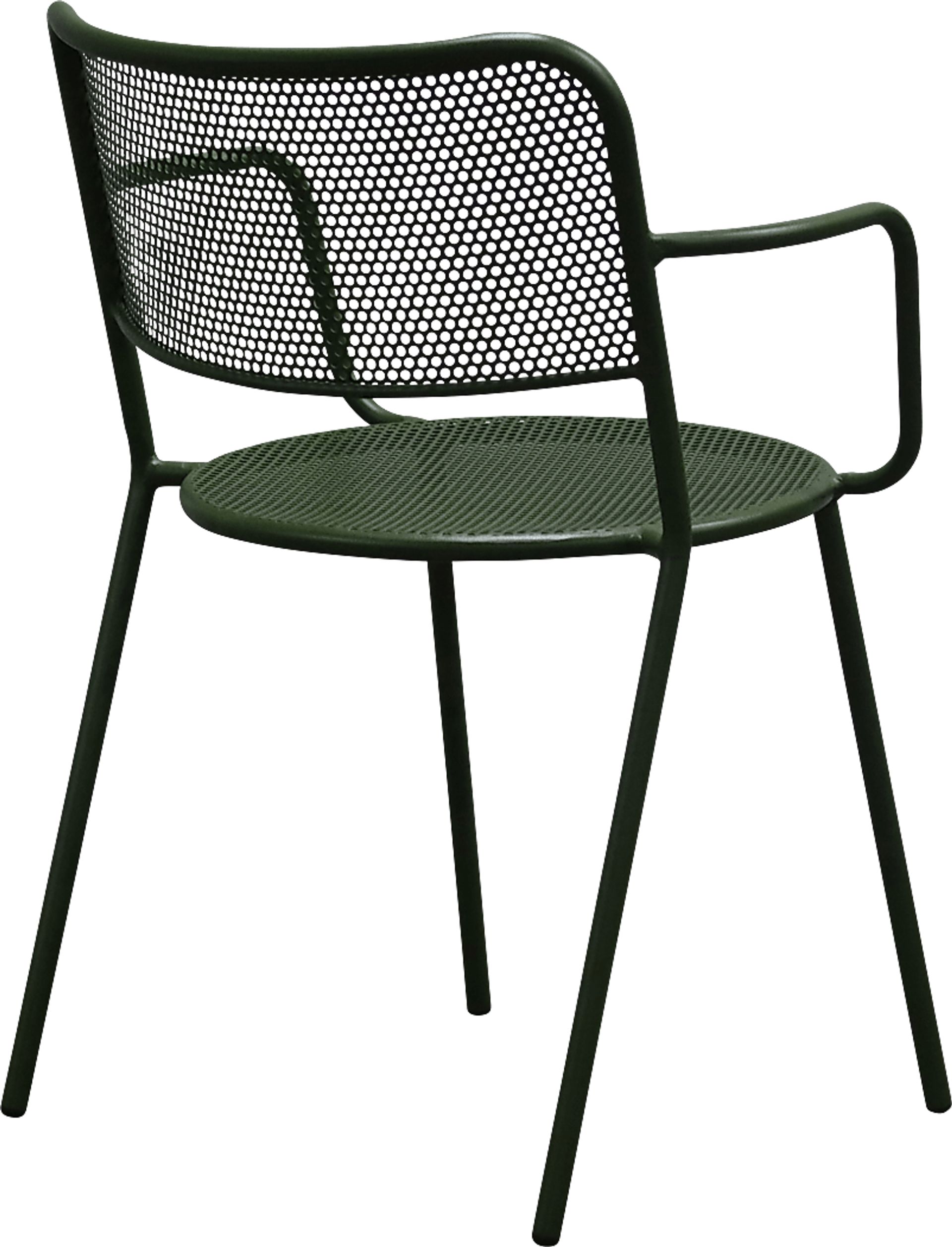 Outdoor Sherwoody Green Arm Chair, Set of 2 - Image 6