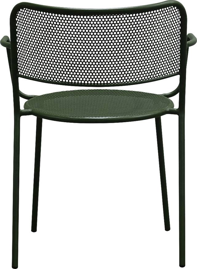 Outdoor Sherwoody Green Arm Chair, Set of 2 - Thumbnail - Image 7