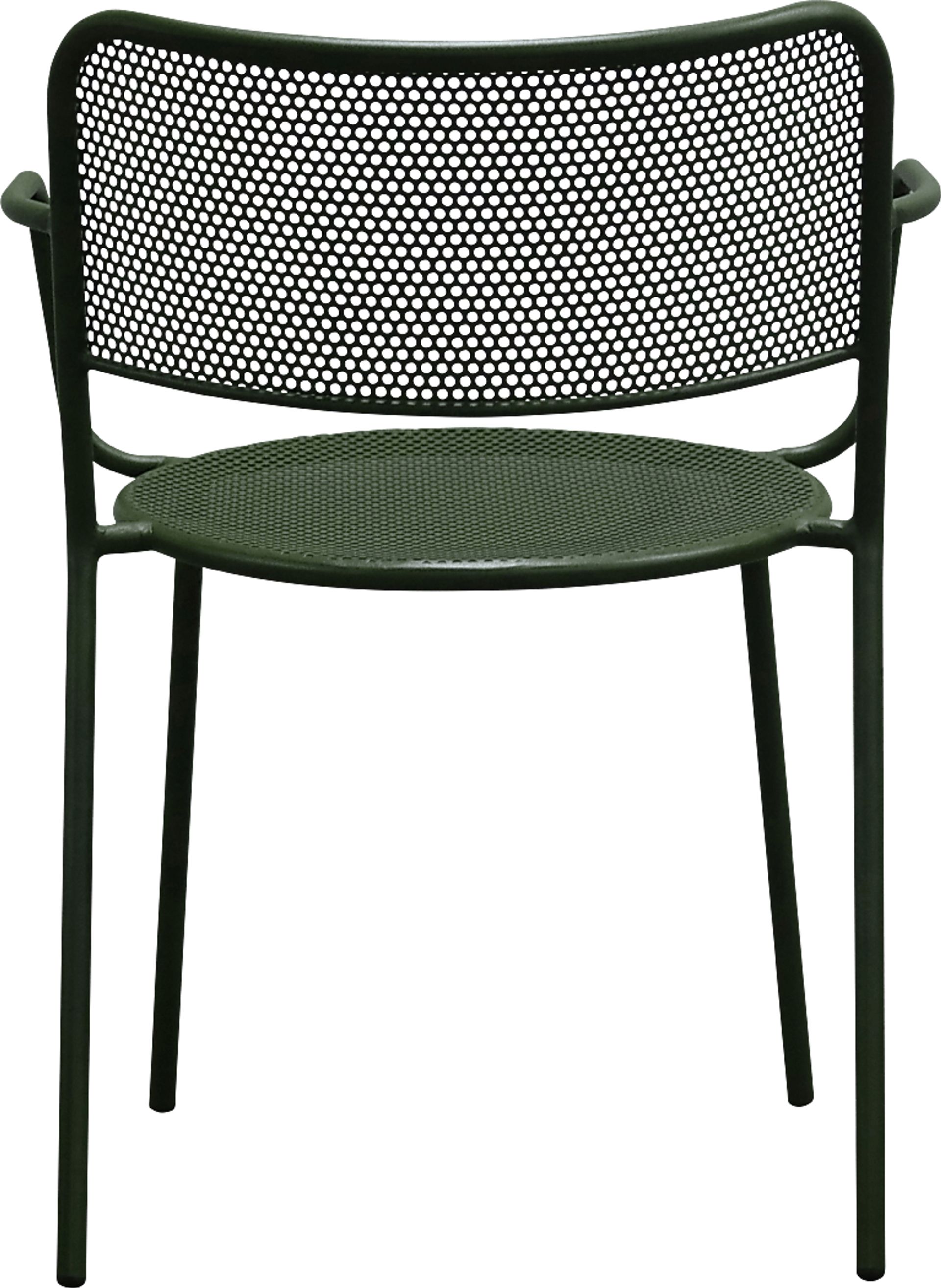 Outdoor Sherwoody Green Arm Chair, Set of 2 - Image 7