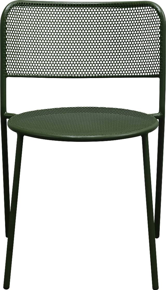 Outdoor Sherwoody Green Dining Chair, Set of 2 - Thumbnail - Image 4