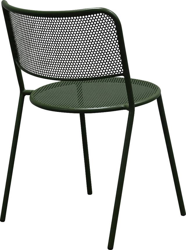 Outdoor Sherwoody Green Dining Chair, Set of 2 - Thumbnail - Image 7