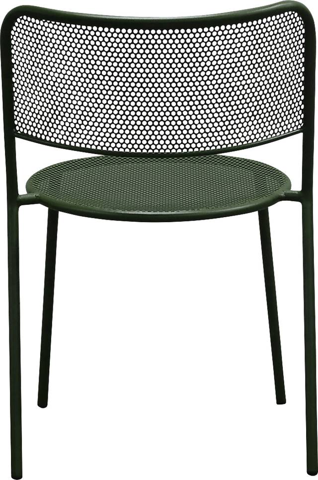 Outdoor Sherwoody Green Dining Chair, Set of 2 - Thumbnail - Image 8