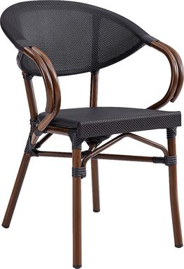 Outdoor Villepigue Black Arm Chair, Set of 2