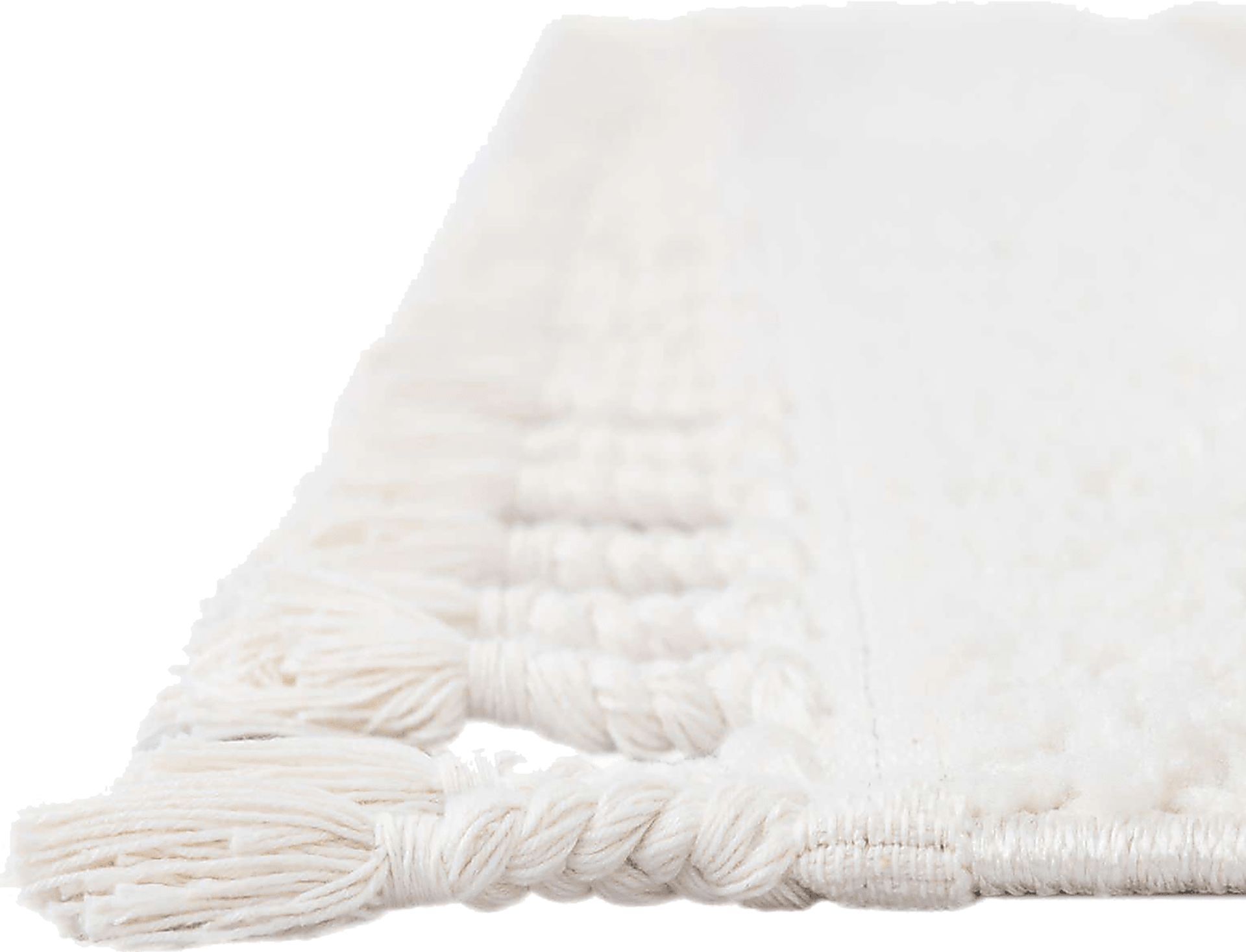 Paari Ivory 9' x 12'2 Rug - Image 9