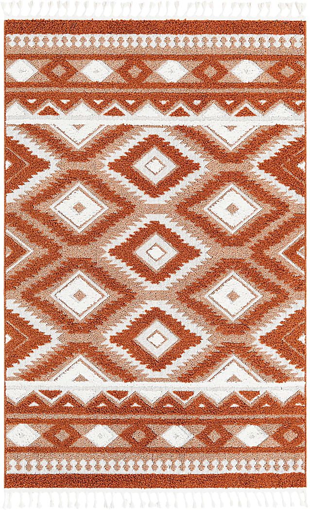 Paari Rust 5'3 x 8' Rug