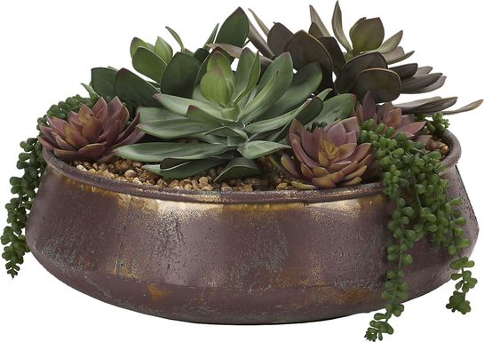 Paicines Copper Silk Plant