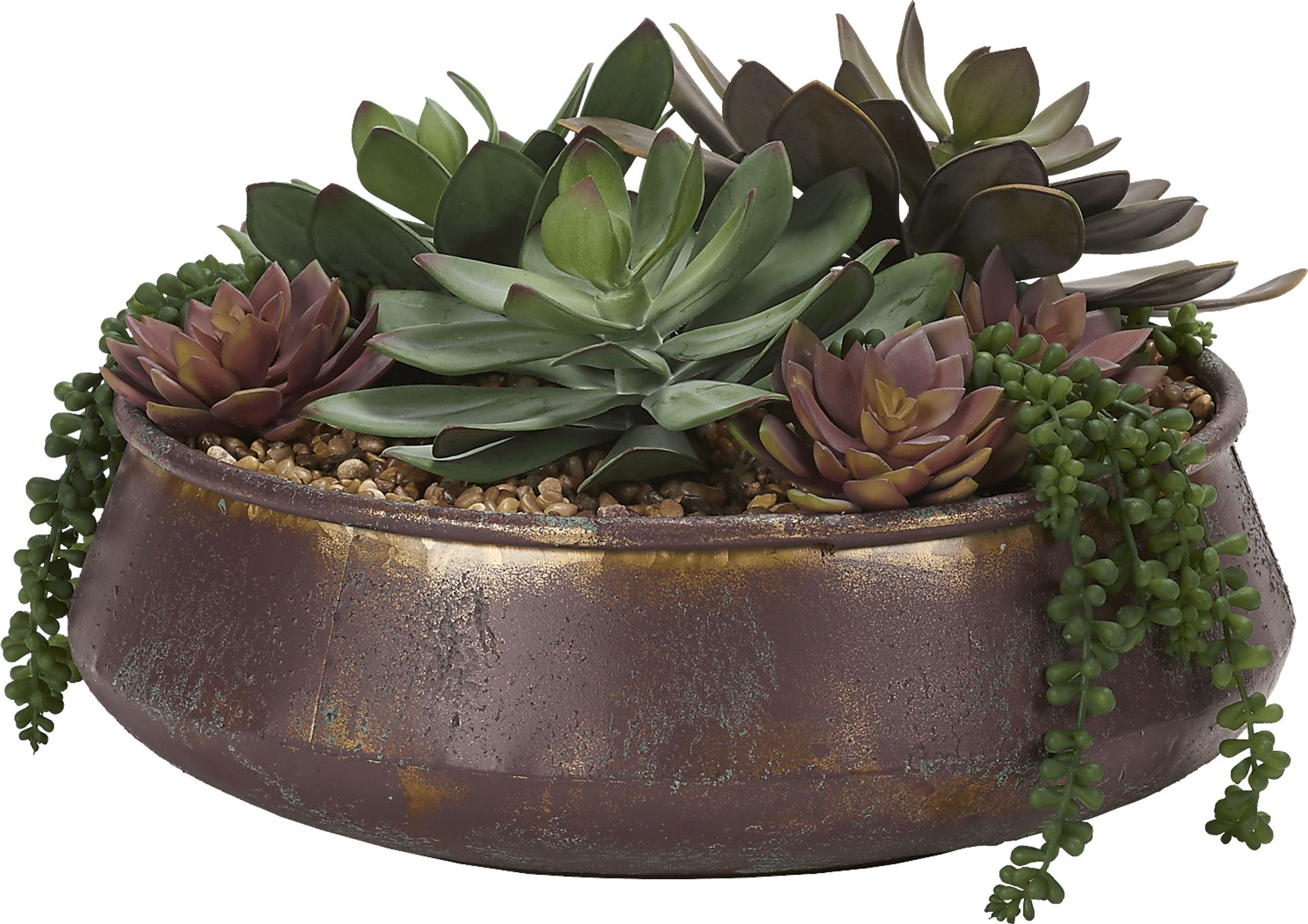 Paicines Copper Silk Plant - Image 1