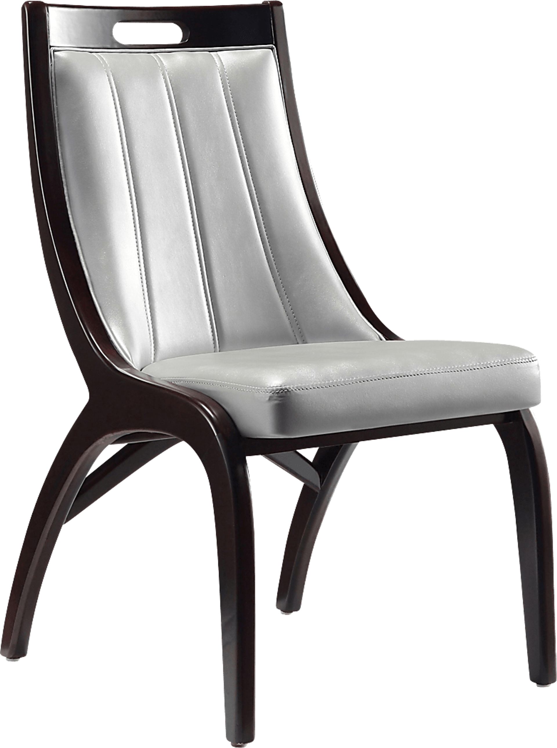 Pakey Silver Side Chair, Set of 2 - Image 4