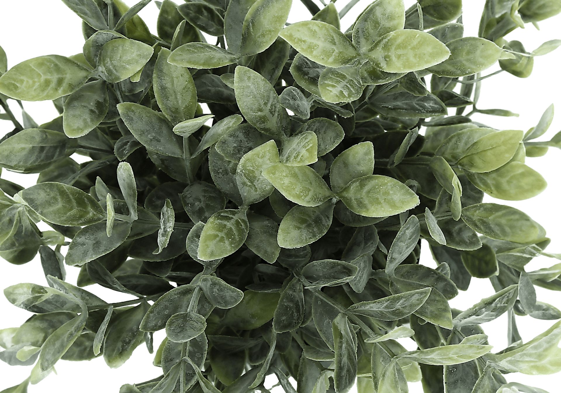 Paleotropic Green Artificial Eucalyptus Plant, Set of 2 - Image 6