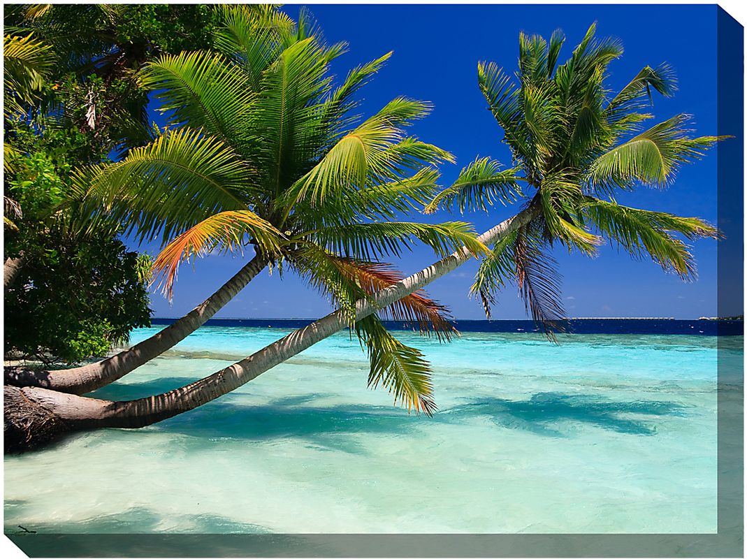 Palm Duo Outdoor/Indoor Wall Art
