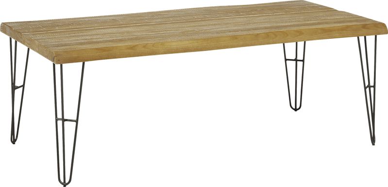 Palm Grove Brown Cocktail Table