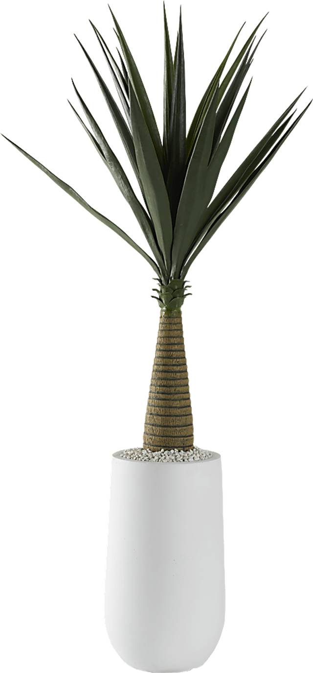 Palmdale Green 52 in. Artificial Sisal Tree in White Planter - Thumbnail - Image 1