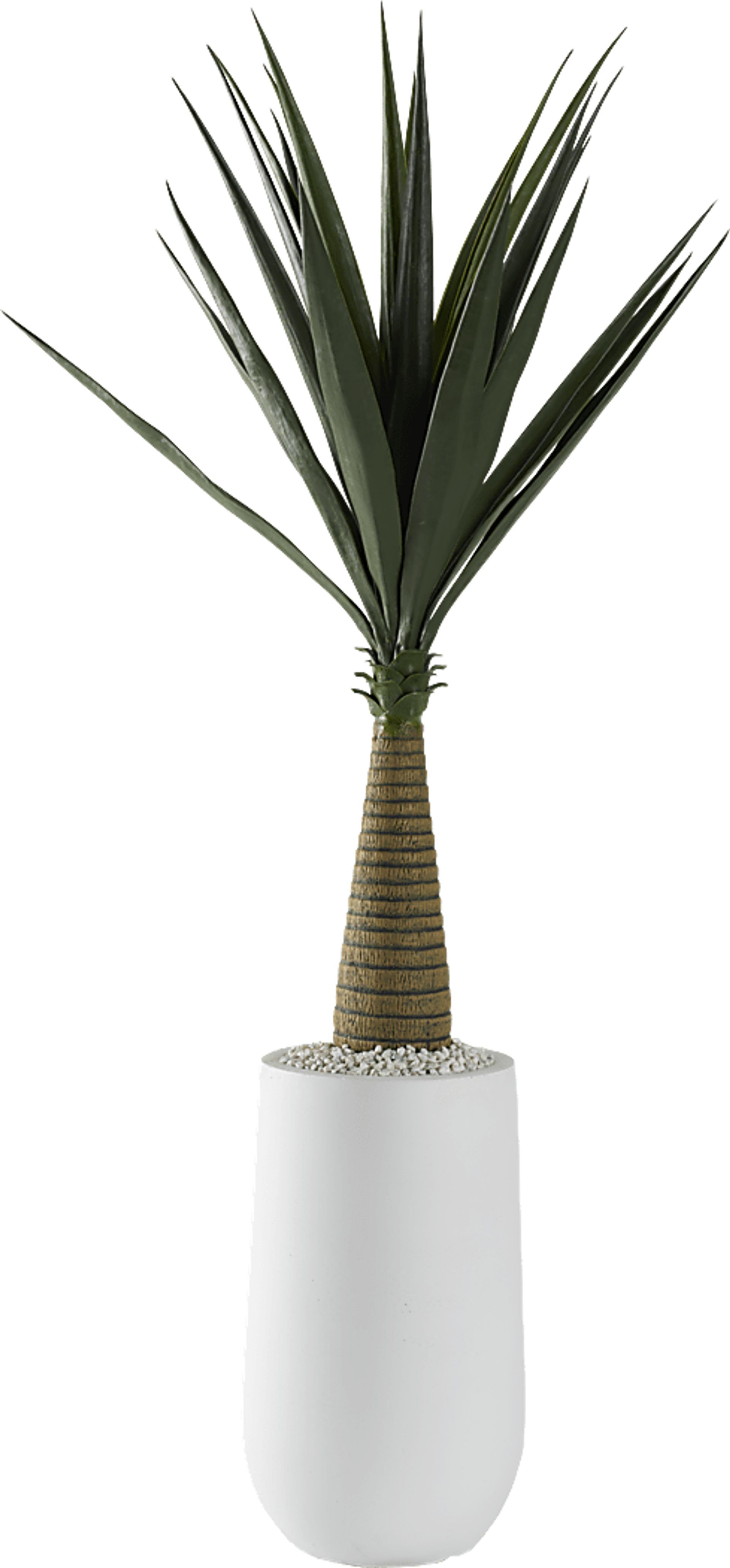 Palmdale Green 52 in. Artificial Sisal Tree in White Planter - Image 1