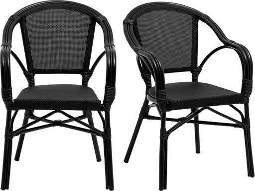 Palumbo I Black Arm Chair, Set of 2