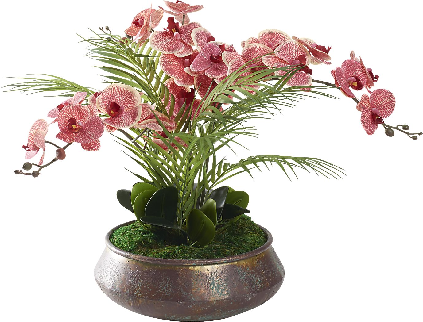 Parducci Copper Plant