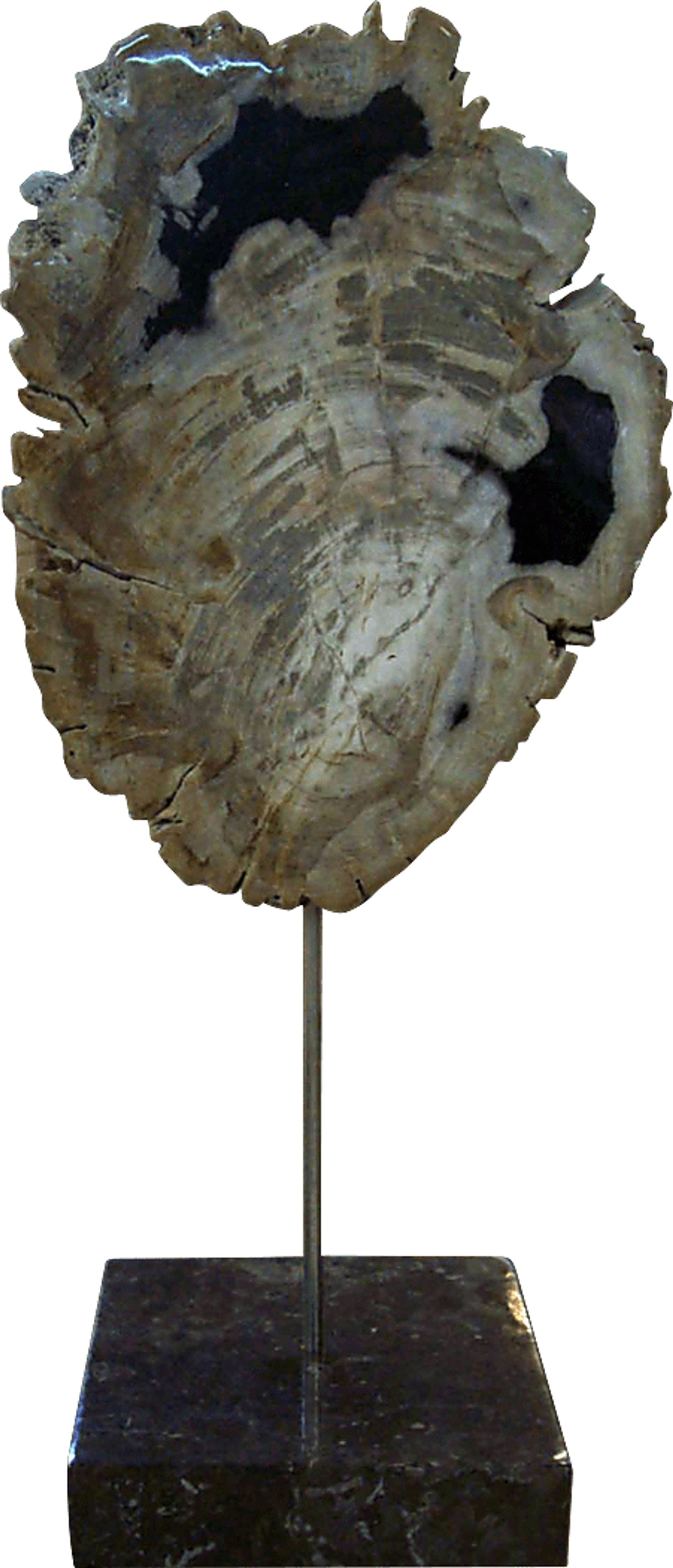 Parham Natural Sculpture - Image 1