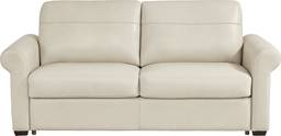 sleeper loveseat with roll arms