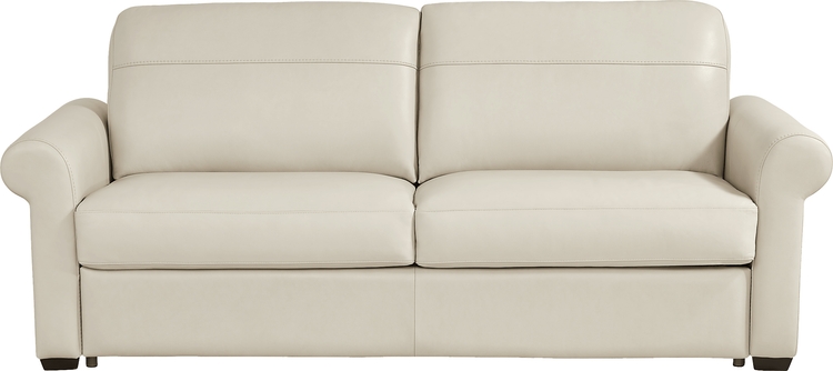 sleeper sofa with roll arms