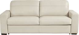 sleeper sofa with track arms