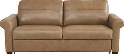 sleeper sofa with roll arms