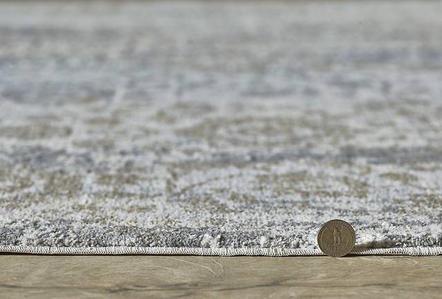 Parmere Ivory/Blue 7'10 x 10'10 Rug - Thumbnail - Image 3