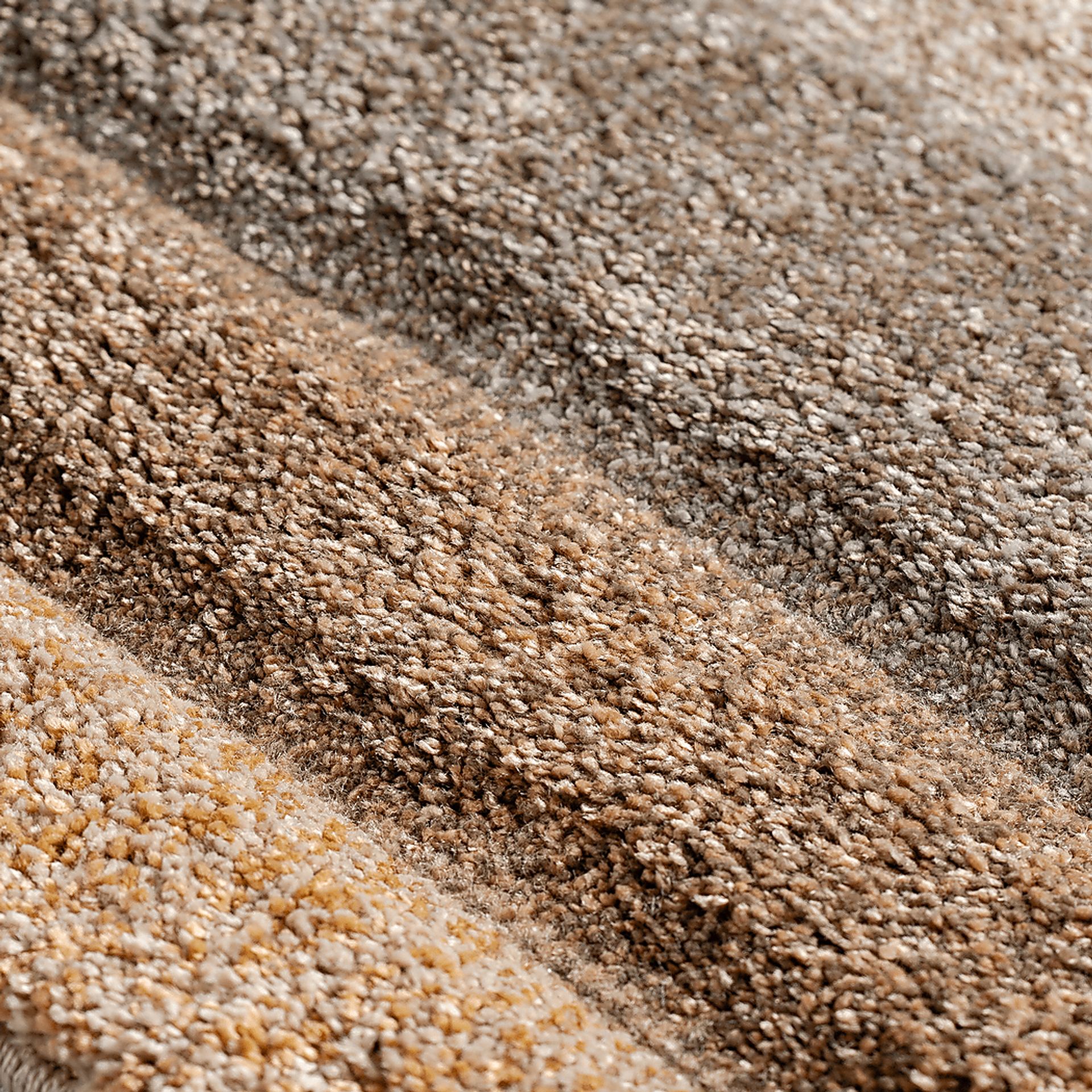 Pasronto Multi 8' x 10' Rug - Image 4
